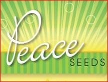 17 peace seeds