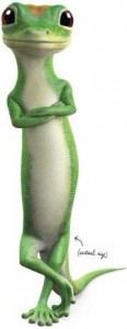 06 gecko