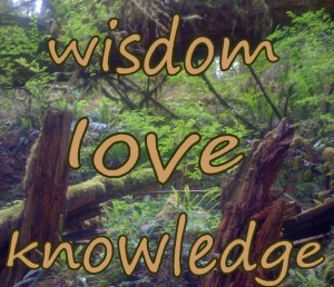 05 wisdom love